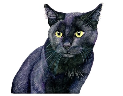 Black Cat Watercolor Art Print Black Cat Painting Halloween Black Cat Pet Cat Pet Portrait Cat Owner Gifts Gothic Cat Spooky Halloween Decor - image1